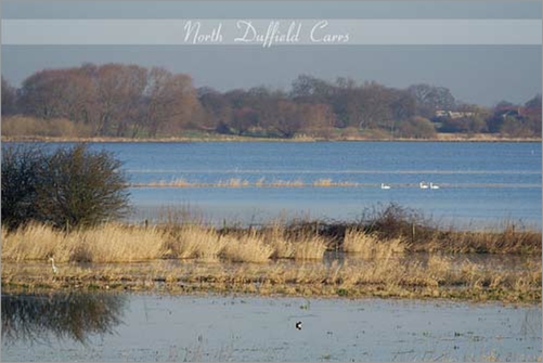 Duffield Carrs, January