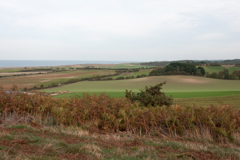 Keywords: Norfolk,Salthouse