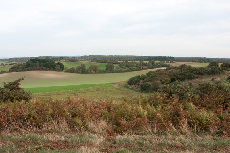 Salthouse, Norfolk
Keywords: Norfolk,Salthouse