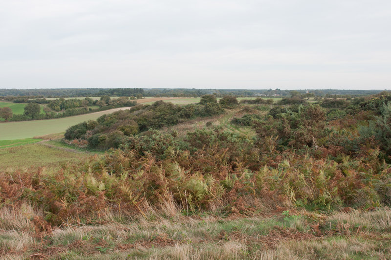 Salthouse, Norfolk
Keywords: Norfolk,Salthouse