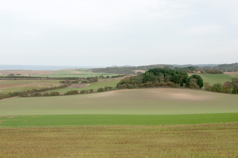 Salthouse, Norfolk
Salthouse, Norfolk
Keywords: Norfolk,Salthouse