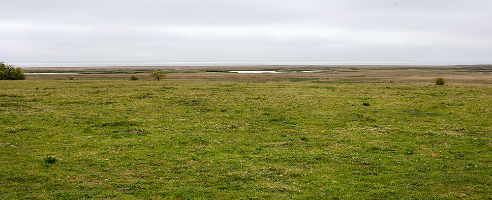 Dingle Marsh
Dingle Marsh, Dunwich, Suffolk
Keywords: Dunwich,Suffolk,Dingle Marsh