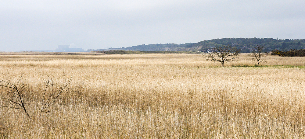 Westwood Marshes
Westwood Marshes, Dunwich, Suffolk
Keywords: Dunwich,Suffolk,Westwood Marshes