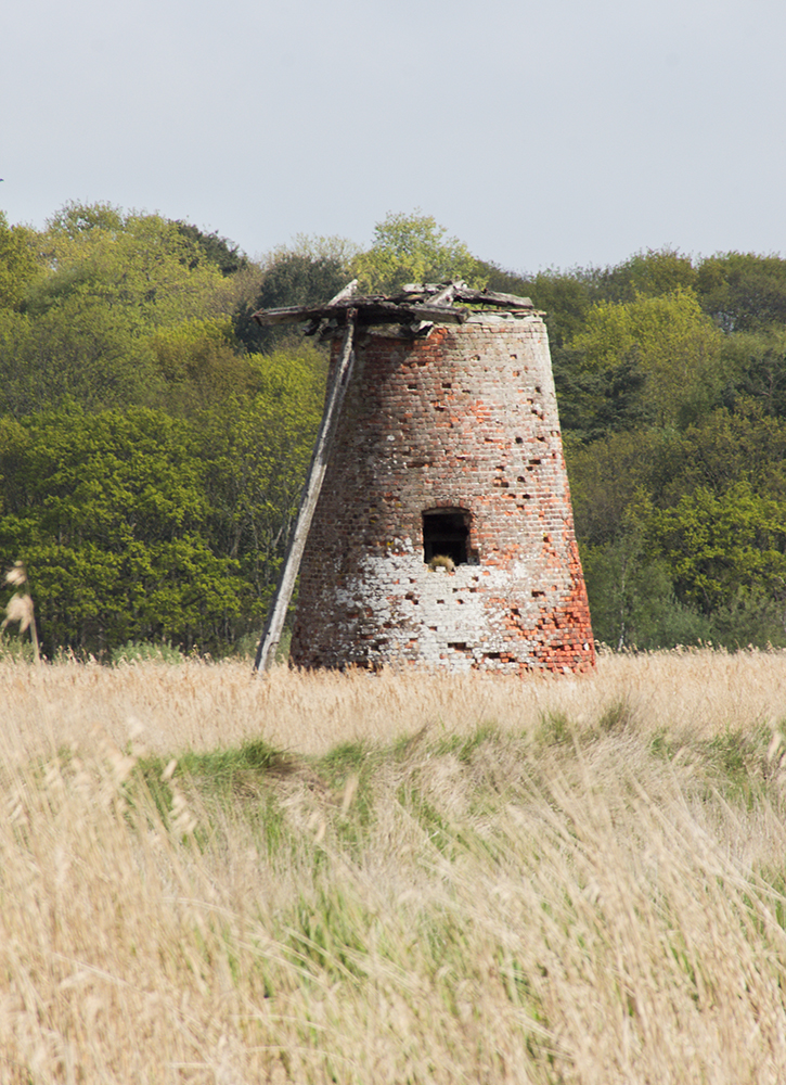 Westwood Marshes
Westwood Marshes, Dunwich, Suffolk
Keywords: Dunwich,Suffolk,Westwood Marshes