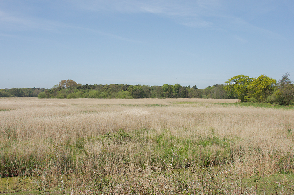 Hen Reedbeds, Suffolk
Hen Reedbeds, Suffolk
Keywords: Dunwich,Hen Reedbeds,Suffolk