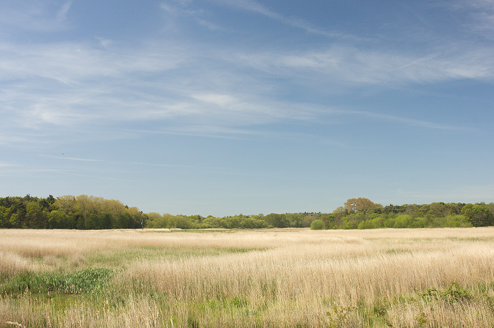 Hen Reedbeds, Suffolk
Hen Reedbeds, Suffolk
Keywords: Dunwich,Hen Reedbeds,Suffolk