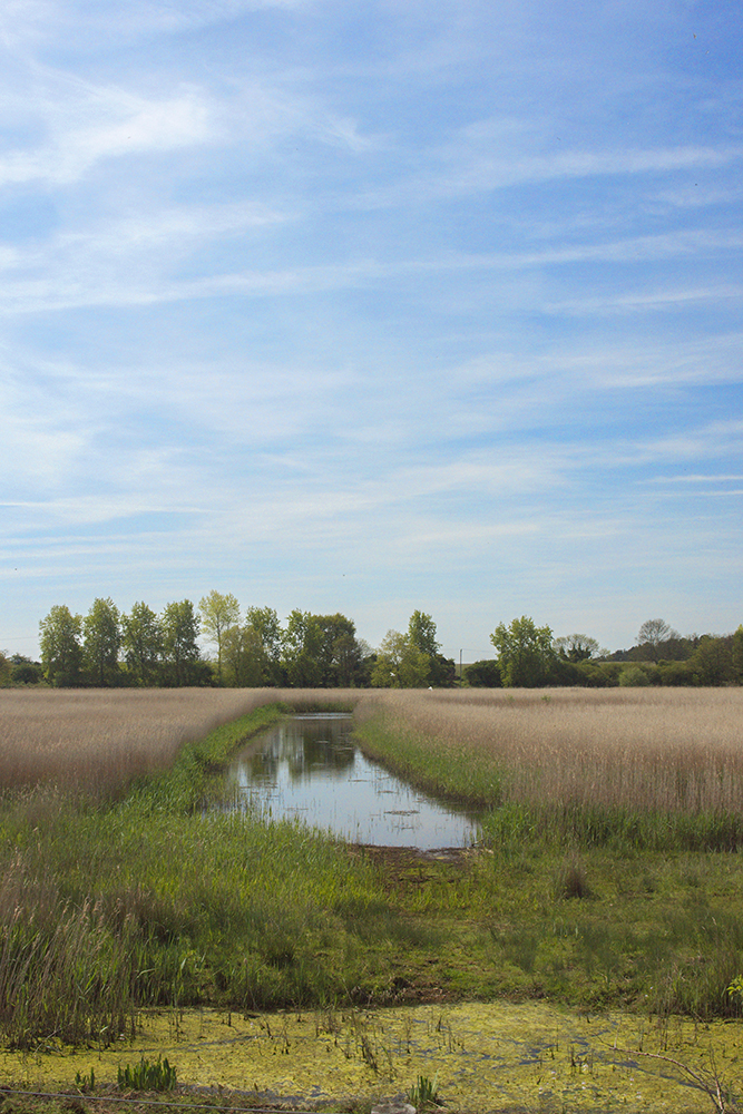 Hen Reedbeds, Suffolk
Keywords: Dunwich,Hen Reedbeds,Suffolk