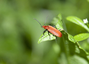 Filename=A7-5061.jpg
Filesize=136KiB
Dimensions=800x572
Date added=Sep 22, 2019 A7-5061.jpg