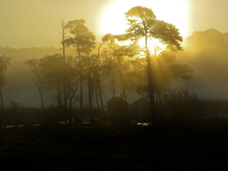 Sunrise over Hawes Water
Sunrise over Hawes Water, Silverdale, Lancs.
Keywords: Gait Barrows,Hawes Water,Lancashire,Silverdale