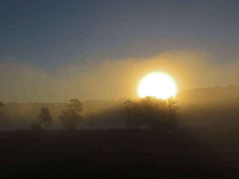 Sunrise over Hawes Water
Sunrise over Hawes Water, Silverdale, Lancs.
Keywords: Gait Barrows,Hawes Water,Lancashire,Silverdale