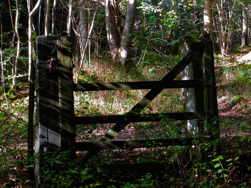 The Gate
The Gate
Keywords: Gait Barrows,Lancashire,Silverdale