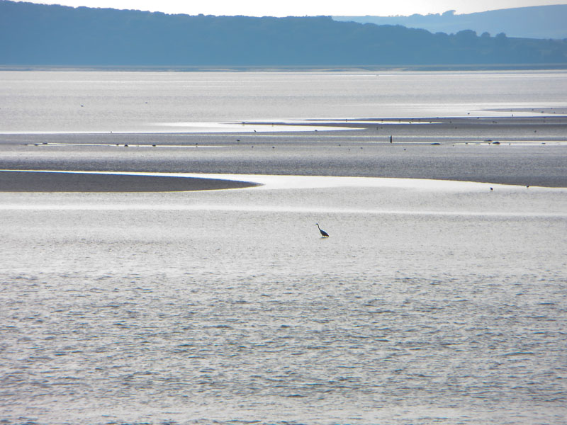 Silverdale "beach"
Silverdale "beach"
Keywords: Silverdale