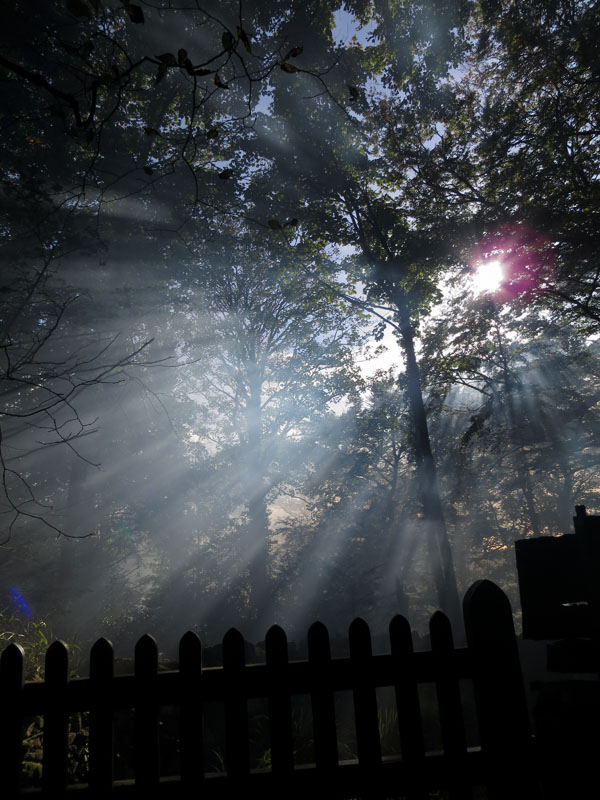 Eaves Wood
Eaves Wood
Keywords: Eaves Wood,Silverdale