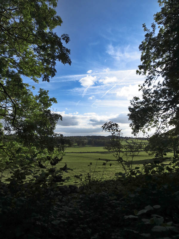 Eaves Wood
Eaves Wood
Keywords: Eaves Wood,Silverdale