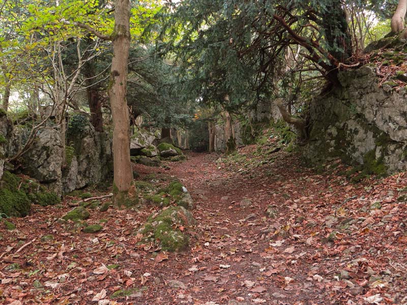 Trowbarrow Quarry
Trowbarrow Quarry
Keywords: Silverdale,Trowbarrow Quarry