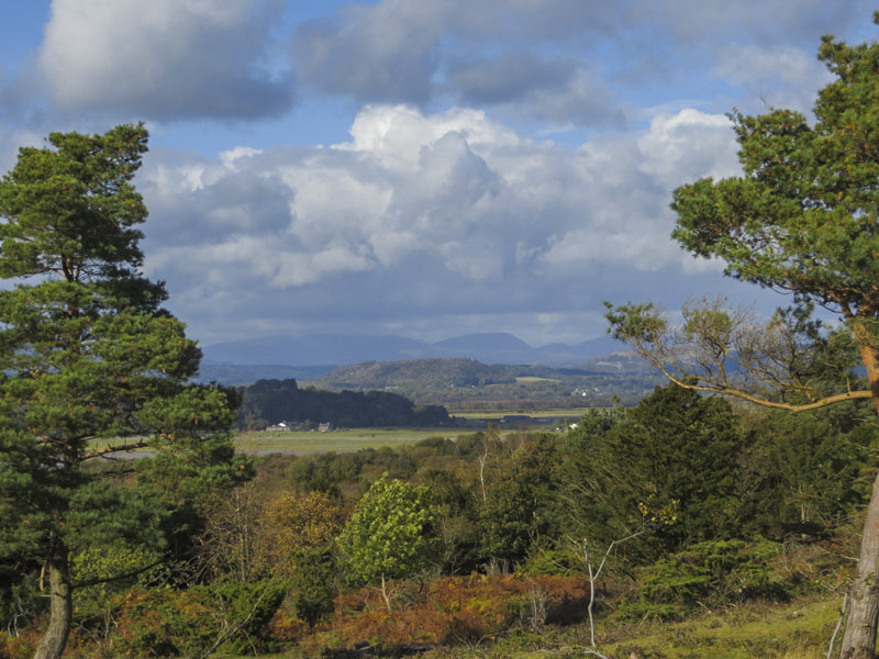 Arnside Knott
View from Arnside Knott
Keywords: Arnside Knott,Silverdale