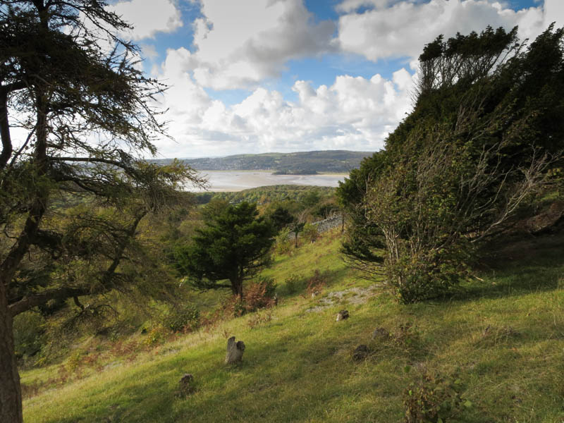 Arnside Knott
View from Arnside Knott
Keywords: Arnside Knott,Silverdale