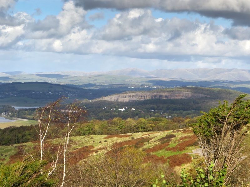 Arnside Knott
View from Arnside Knott
Keywords: Arnside Knott,Silverdale