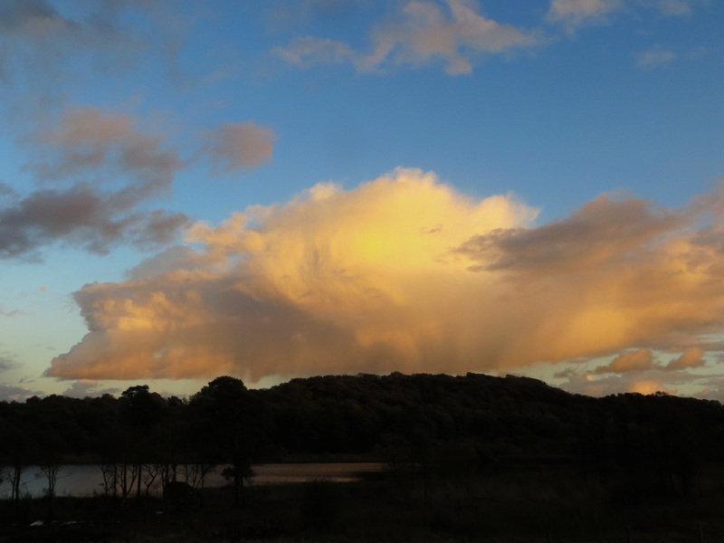 Keywords: Gait Barrows,Lancashire,Silverdale