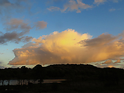 Filename=SX240-0385.jpg
Filesize=165KiB
Dimensions=800x600
Date added=Sep 28, 2019 SX240-0385.jpg