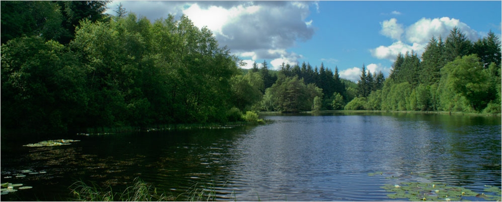 Bruntis Loch, Kirroughtree Forest